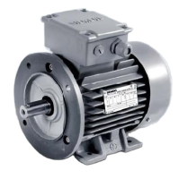 Электродвигатель Siemens 1LE10021CB290JB6